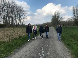 promenade dominicale aux caches vaches à Cysoing